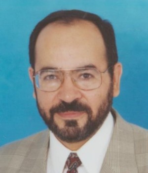 Ahmed A. Kishk, Ph.D. Photo